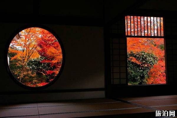 京都赏枫叶最佳地点 京都赏枫叶的寺庙推荐