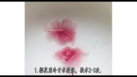 水信玄饼的做法步骤1