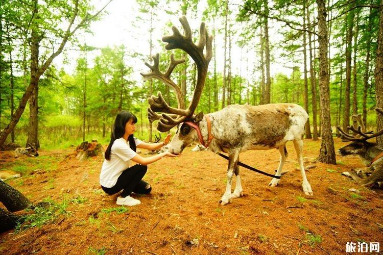 大兴安岭有什么特色玩法