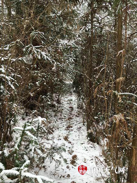 重庆明天阳光露脸气温升 春节暖如春最高温可达20℃