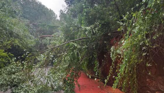 娄底珠山公园内发生多起山体滑坡 目前珠山公园已全园封园