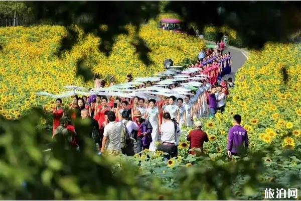 2019国庆节英山四季花海门票免费政策+有什么活动