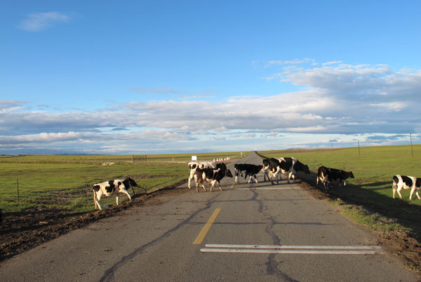 呼伦贝尔夏天热吗 呼伦贝尔夏天多少度