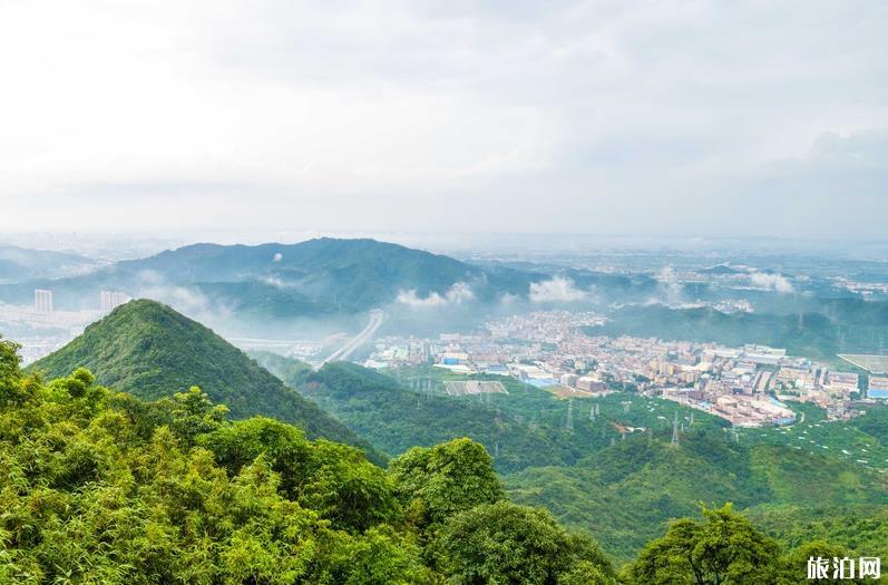 东莞观音山国家森林公园好玩吗 东莞观音山国家森林公园游玩攻略 东莞观音山国家森林公园好玩吗 东莞观音山国家森林公园游玩攻略