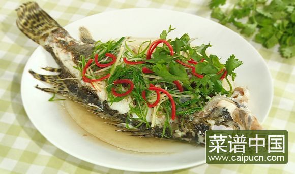 清蒸桂鱼