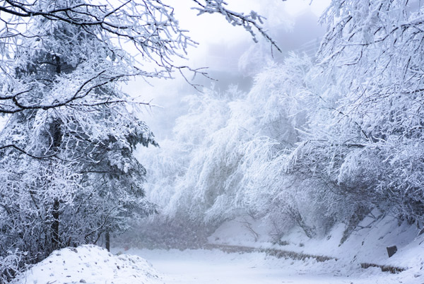 适合冬天看雪景的地方 雪景最美的地方