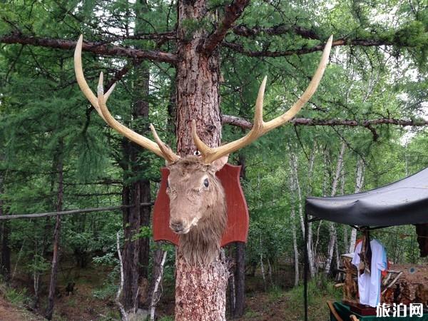 漠河人文景点线路推荐