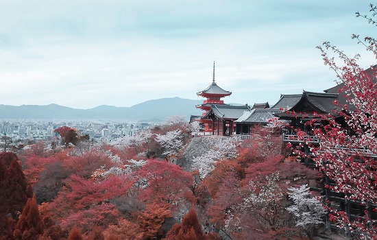 日本京都府有哪些节日庆典