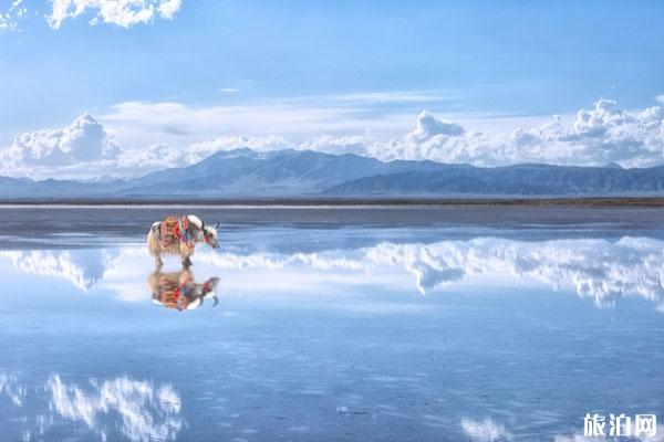 茶卡盐湖旅游攻略 打卡景点 旅游注意事项