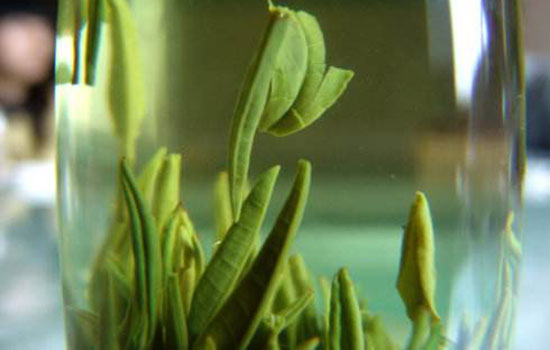 镇江有哪些特色名茶 江苏镇江特产
