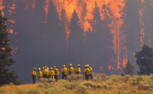 墨西哥南部森林火灾造成9人死亡 目前火情已得到基本控制