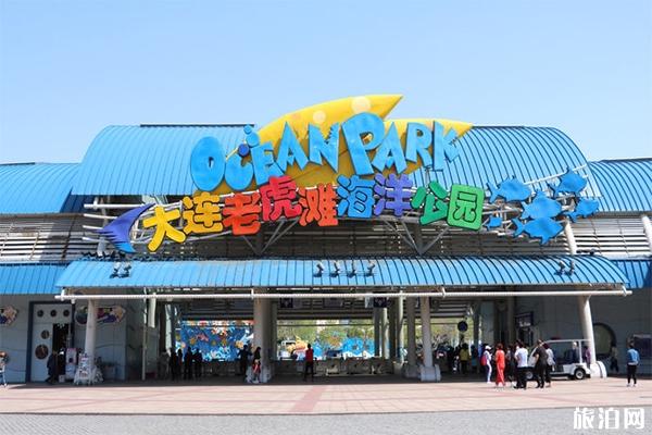 大连老虎滩海洋公园8月份表演时间+索道多少钱