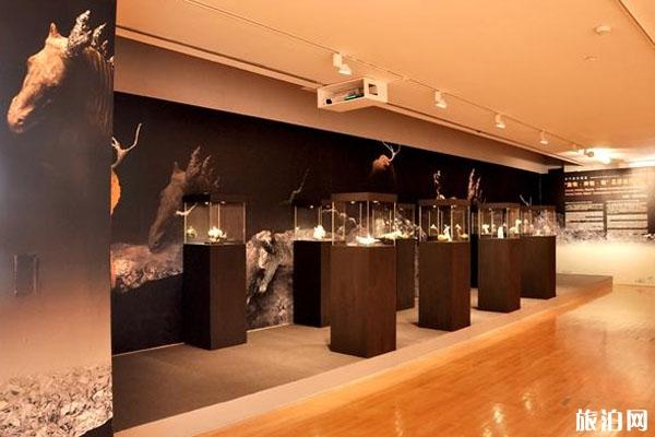 澳门与威尼斯国际艺术双年展时间+展会介绍