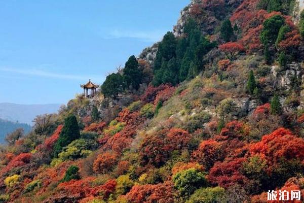 2019石门坊红叶节什么时候开始+门票+交通 石门坊看红叶怎么样