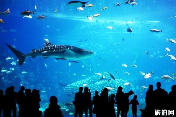 2019珠海最适合亲子游的地方 2019珠海最适合亲子游的地方