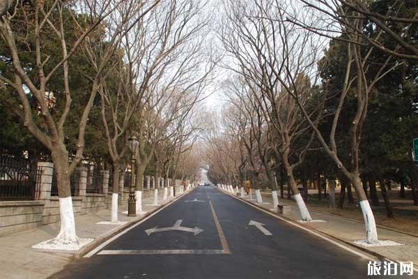 青岛八大关风景区+介绍+门票+开放时间+交通