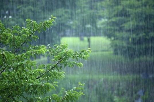 今明两天广东将有大暴雨 伴有雷雨时8级左右大风
