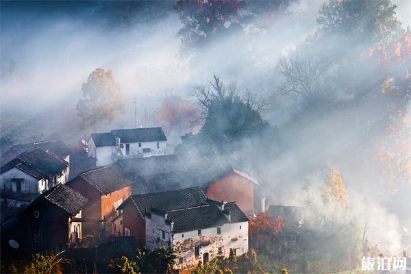 婺源摄影美图欣赏