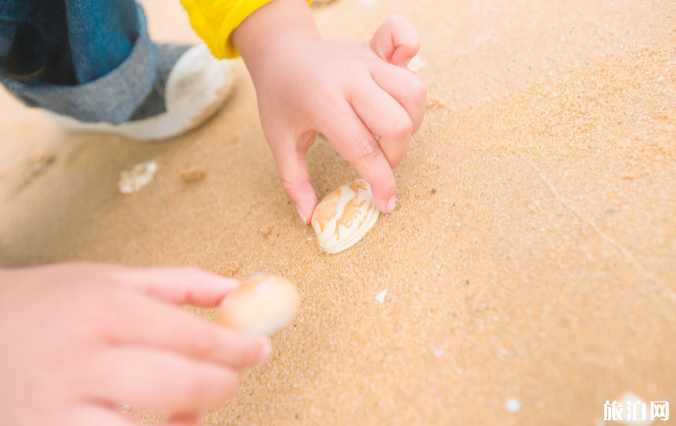 葫芦岛东戴河为什么适合亲子游 葫芦岛东戴河为什么适合亲子游