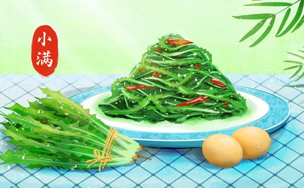 2020小满吃什么传统食物 小满传统美食苦菜好吃做法