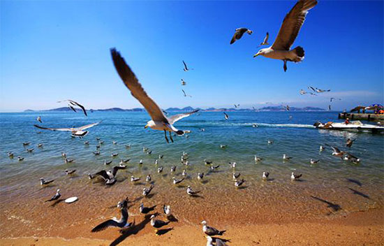 威海旅游景点大全排名