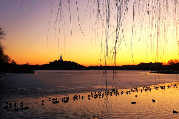 北海公园要门票吗 北海公园要不要门票