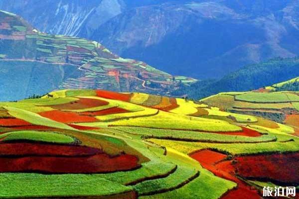 云南旅游需要准备什么 云南旅游准备物品攻略 云南旅游需要准备什么 云南旅游准备物品攻略