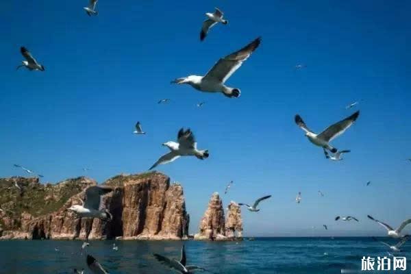 长岛必玩的景点有哪些 2019长岛游玩攻略 长岛必玩的景点有哪些 2019长岛游玩攻略