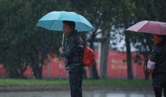 今起浙江多地进入阴雨模式 全省最高气温不超20℃