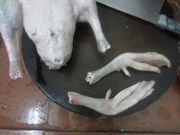 自制卤鹅的做法步骤3