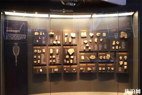 国家海洋博物馆有几个展厅