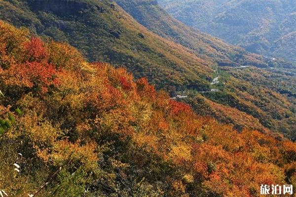 门头沟妙峰山观赏红叶的最佳时间+门票价格