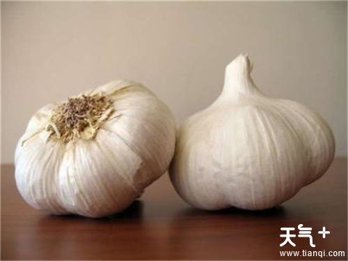 夏天到了,花盆里生虫子怎么办呢?