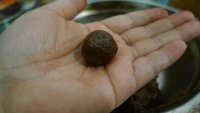 可可雪球的做法步骤6
