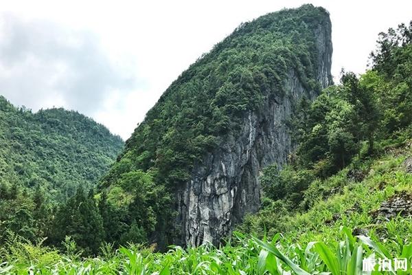 利川清江古河床游玩攻略 利川清江古河床游玩攻略
