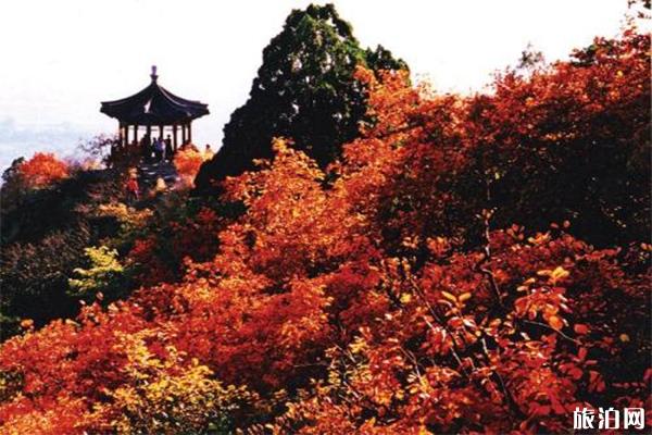 香山预约可以提前7天吗 预约方式是怎样的
