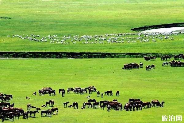 呼伦贝尔什么时候去旅游最好 呼伦贝尔什么时候去旅游最好