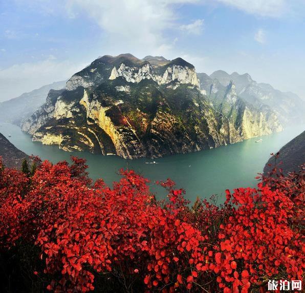 重庆巫山红叶什么时候最好 重庆巫山红叶节2019