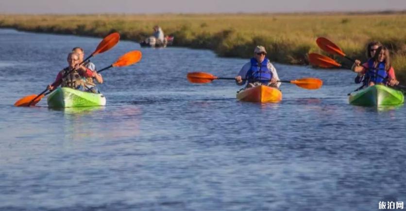 德克萨斯海湾不能错过的特色体验