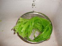 芹香猪肉馅饺子的做法步骤2
