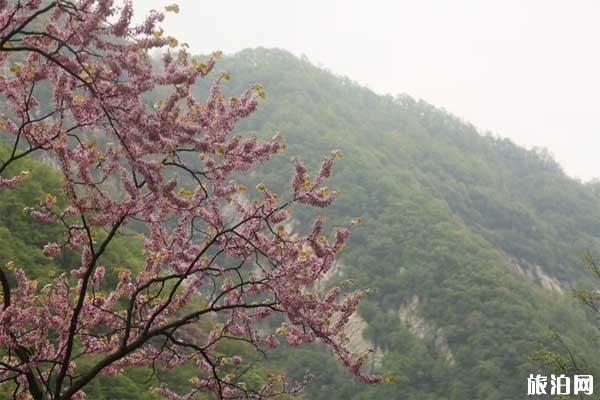 2019西安太平国家森林公园在哪+地址+交通+电话