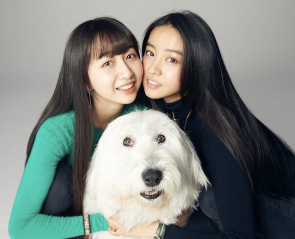 木村拓哉大女儿将出道是怎么回事 木村拓哉大女儿将出道是什么情况