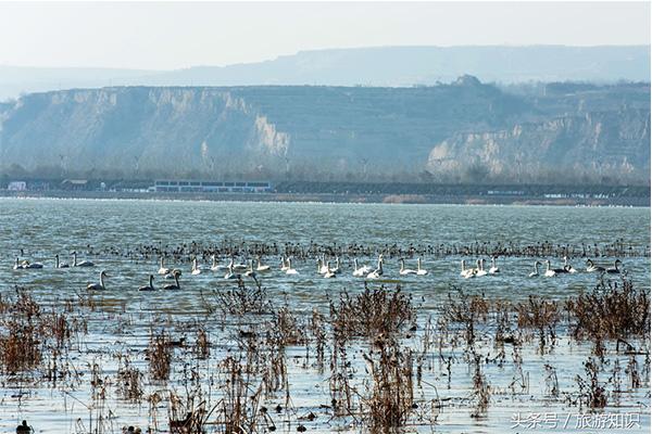 天鹅湖国家城市湿地公园需要门票吗 公园怎么样