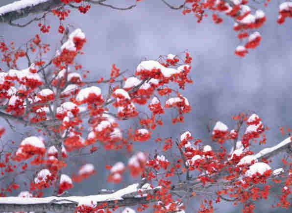 注意好保暖！吉林立冬日迎雨雪降温 明后天早晨气温低至冰点以下