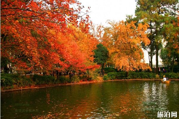 2019苏州秋游哪里好玩+游玩攻略