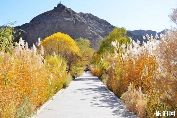 阿勒泰城市内部交通+景点介绍 阿勒泰城市内部交通+景点介绍