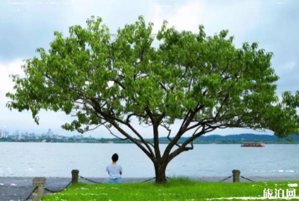 西湖十景一日游线路和顺序