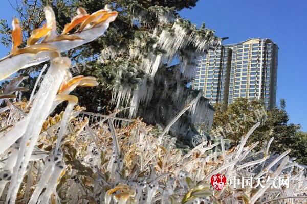 内蒙古明晚起再迎冷空气局地有降雪