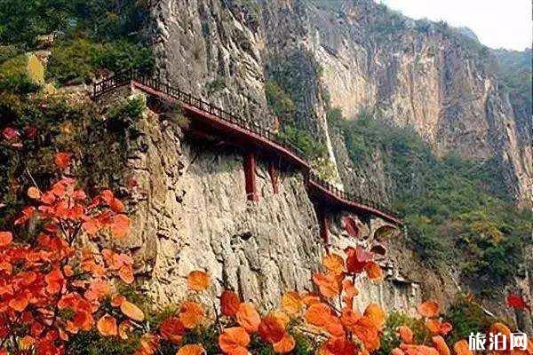 藏山风景区好玩吗 门票多少钱