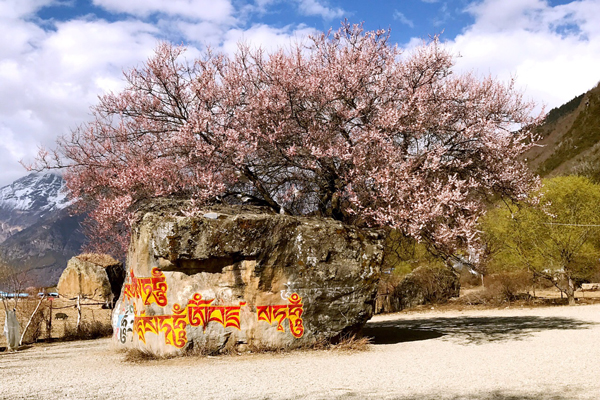 拉萨旅游线路 拉萨旅游景点